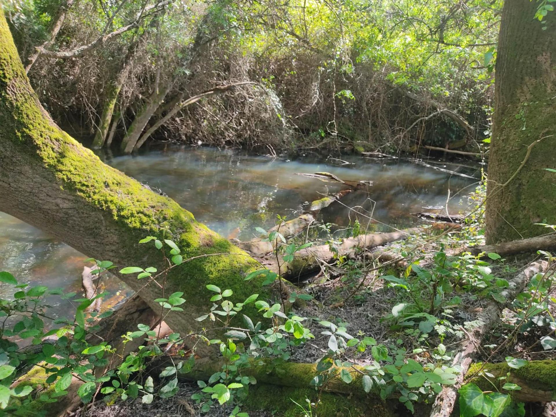 Herdade Da Maceira Villa São Luis Esterno foto