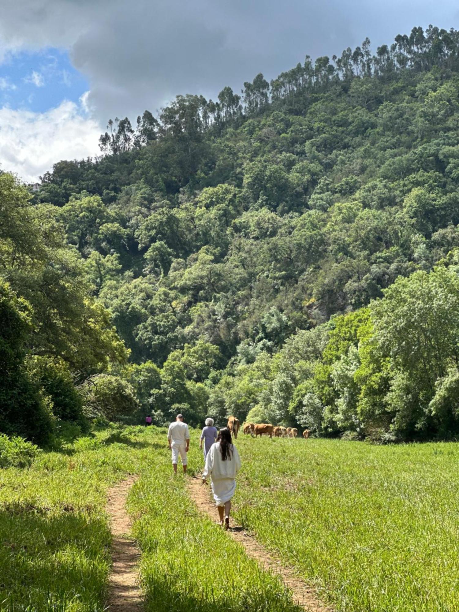 Herdade Da Maceira Villa São Luis Esterno foto