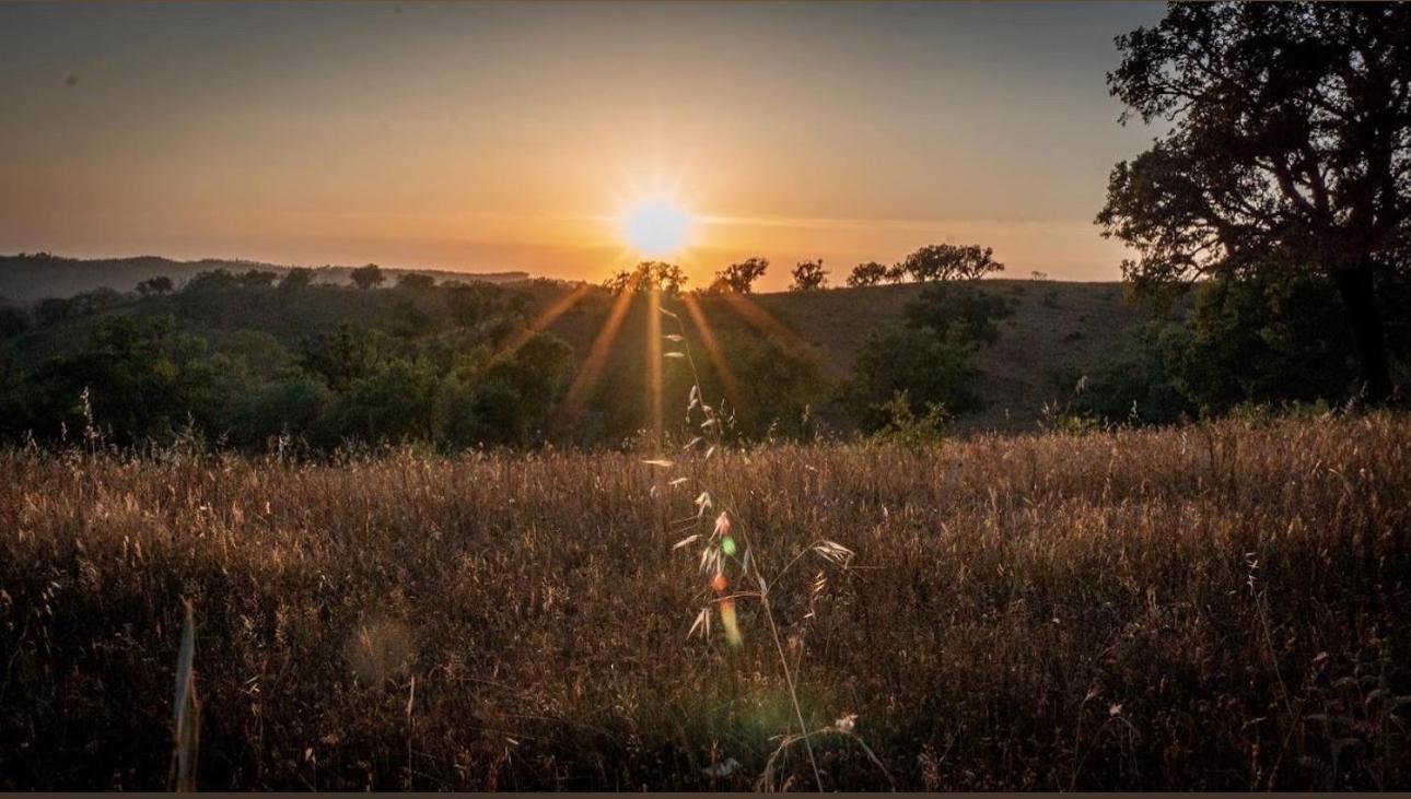 Herdade Da Maceira Villa São Luis Esterno foto